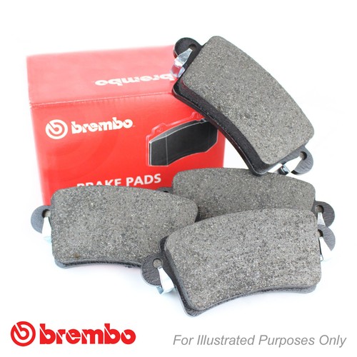 Rear brembo brake - rear,