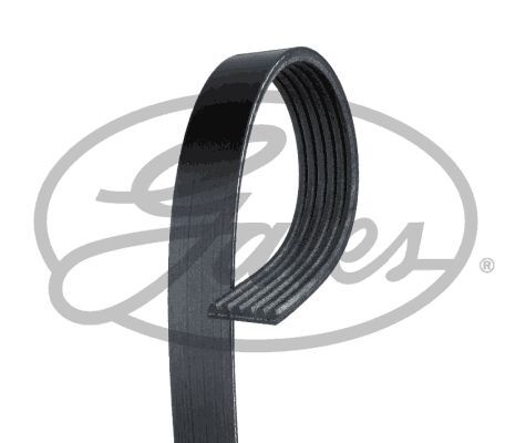 Gates drive belt for - drive, mercedes